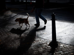 Unwanted Premonition