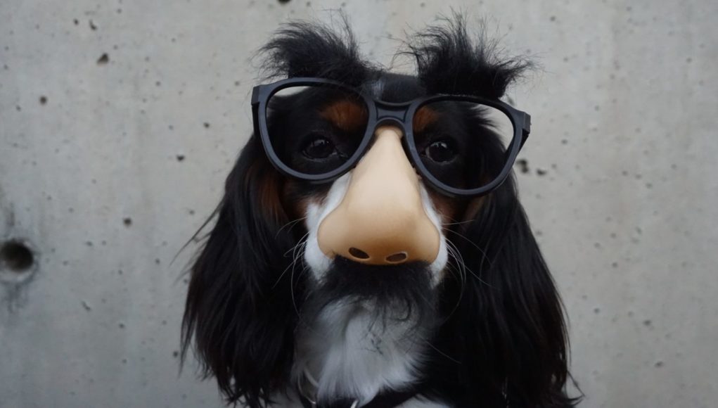 Photo by Braydon Anderson