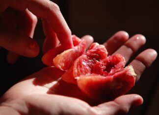 If only person holding red sliced fruit