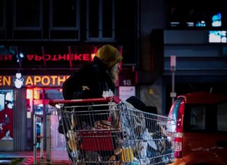 DANNY AND THE GIANT PASTY woman in black jacket riding red and silver shopping cart