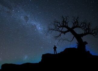 Night Comes Down silhouette of person standing beside bare tree under stary sky